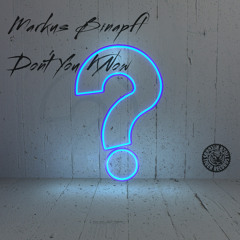 Markus Binapfl - Don't You Know (Original Mix)