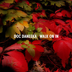 Doc Daneeka - Walk On In feat. Ratcatcher