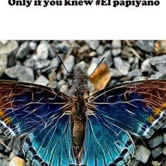 An Ti Moman Remix -Ronald BS Solo