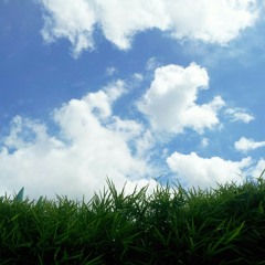 เรามีเรา (cover. จังหวะในใจ)