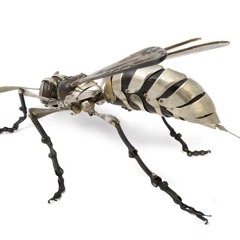 Preventive first blast. [ Free Download ]