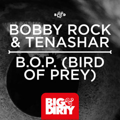 Bobby Rock & Tenashar - B.O.P. (Bird Of Prey) (Out Now) [Big & Dirty Recordings]