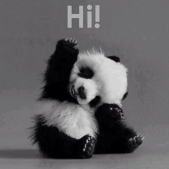 Hi. Can I ask you something?