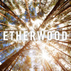 Etherwood Etherwood - FULL ALBUM PREVIEW (96kbps)