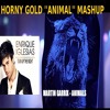Martin Garrix vs Enrique Iglesias - Turn The Night Up (Horny Gold Animal Mashup)