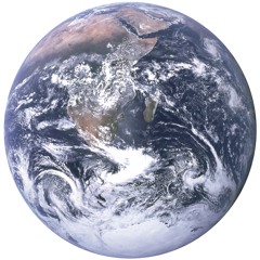 Milwoukee - Destroyed Beauty