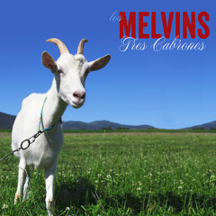 The Melvins - "Dr. Mule"