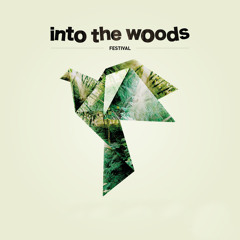 Simian Mobile Disco (DJ-set) @ Into the Woods 2013-09-14