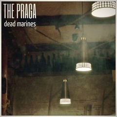 The Praga & Fitzzgerald - Dead Marines (remix) (2013)