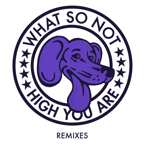 What So Not - High You Are (Branchez Remix)