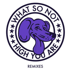 What So Not - High You Are (The Only Remix)