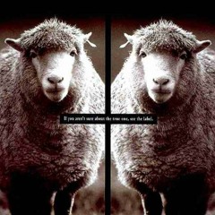 Clones *EDIT VERSION*