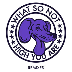 What So Not - High You Are Remixes EP