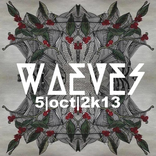 Mike Teknii @ WAEVES (Etnoblog) 5.10.2013