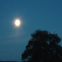m::n :l:ght