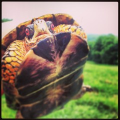 Cameron Owens "I Dont Want To Go There"