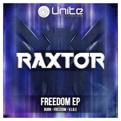 Raxtor - V.I.B.E.