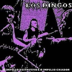 LoS Dingos - Massa Falida