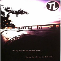 TeeRaxX 233 (Transelucid 04)