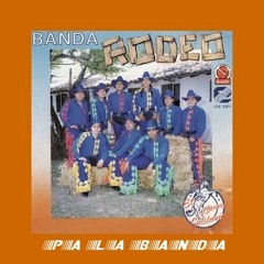 Banda Rodeo El Llanero Solitario