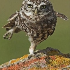 In deep thought waiting for my food