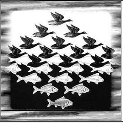 Home And Somewhere Else (Mimicking Birds Cover)