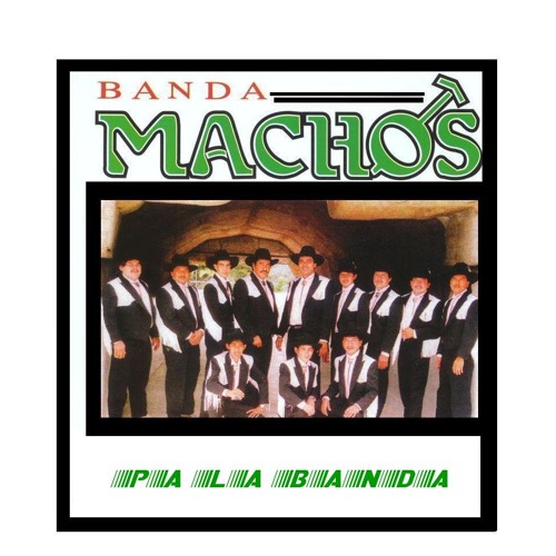 Stream Banda Machos Un Cariño Como Tu by EL ZACATECAS pa≎la BANDA | Listen  online for free on SoundCloud