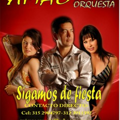 .YIMAO PICANTE