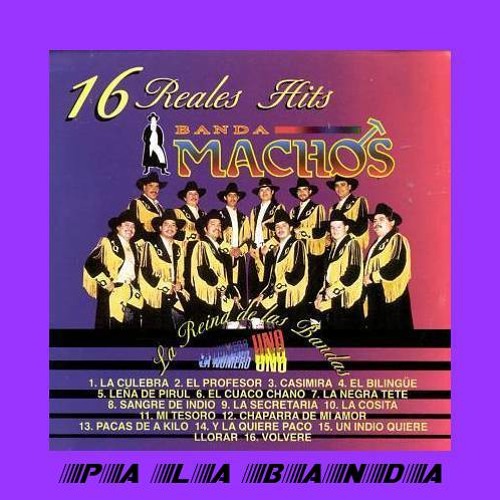 Banda Machos Mi Tesoro