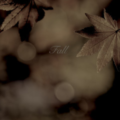 Fall