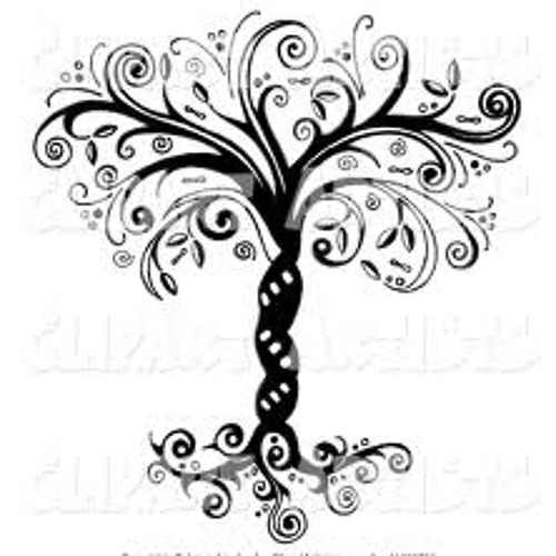 Tree of life  Set