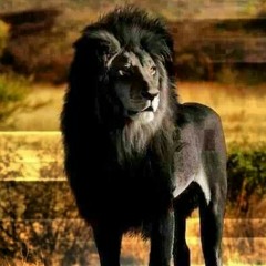 DON@BRA$CO Dont B Comen For Me