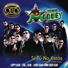 Banda Maguey Si Tu No Estas
