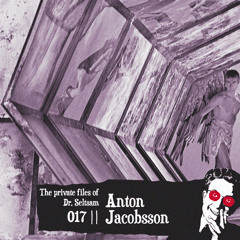 The Private Files Of Dr. Seltsam 017 || Anton Jacobsson ||