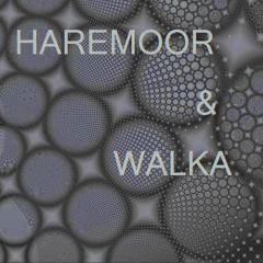 Haremoor & Walka - Rest Assured [FREE D/L]
