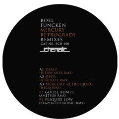 Roel Funcken - Fliquid Low (BLN Remix)