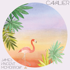 James Vincent McMorrow - Post Tropical (Preview)