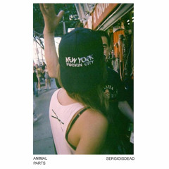 sergioisdead  - THIS COULD BE