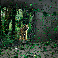 Contagious - S.G. feat. Kabal