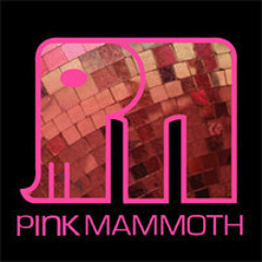 Zach Walker - Pink Mammoth - Burning Man 2013