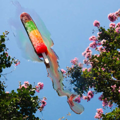 Eternal sunshine of the spotless mind