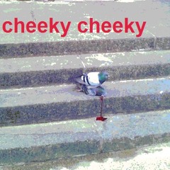 Cheeky
