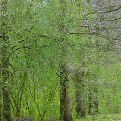 I tried to reach you