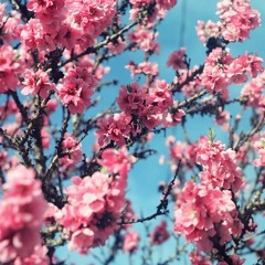 BABY IM YOURS / arctic monkeys cover