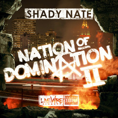 Shady Nate & Shady Nation - Full Time Job [NEW 2013]