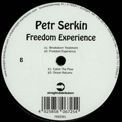12" Petr Serkin - Freedom Experience EP - Freedom Sessions Records 01