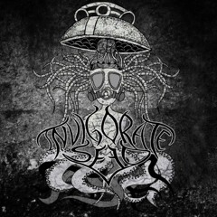 Metalcore mix (Vanity - Invigorate Seed)