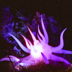 DETACHMENT - TW lifetime