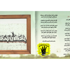 بلدى يا بلدى والسيسى قتل ولدى