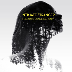 Intimate Stranger - Imaginary Conversation #1